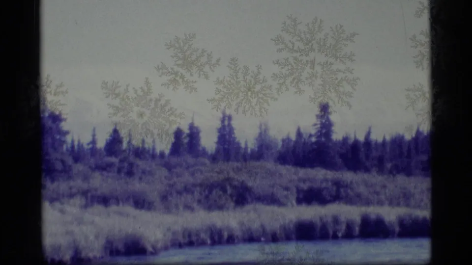 1977 Alaska 8mm frame showing a marshy waterway, dense grasses, and a dark evergreen tree line with aged-film markings.
