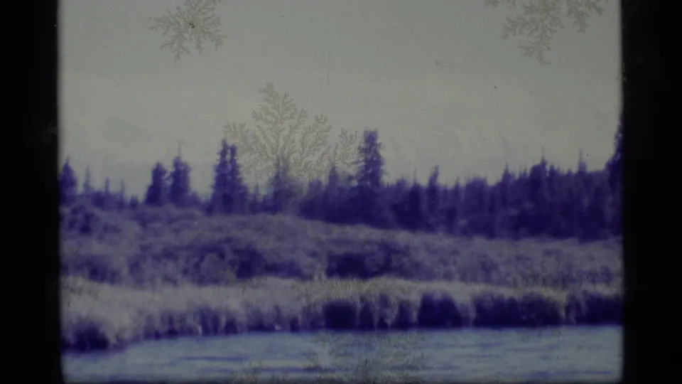 1977 Alaska 8mm frame of swampland water, brush, and distant evergreens, tinted by blue-purple aged-film color.
