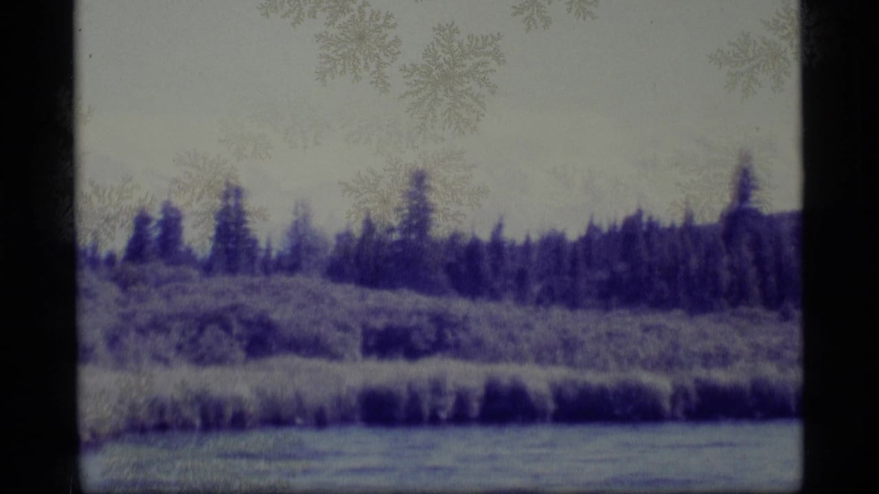Calm lake with grasses, evergreen trees, and distant hills on aged film.