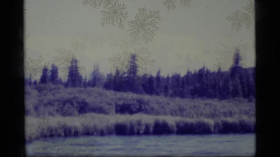 1977 Alaska 8mm frame showing a calm lake, marshy shoreline, evergreen forest, distant hills, and visible film aging marks.