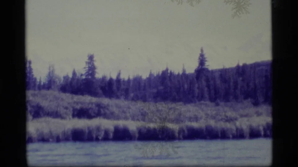 1977 Alaska 8mm frame with a lake foreground, dense evergreen shoreline, low hill forms, and blue-purple color shift from the film scan.