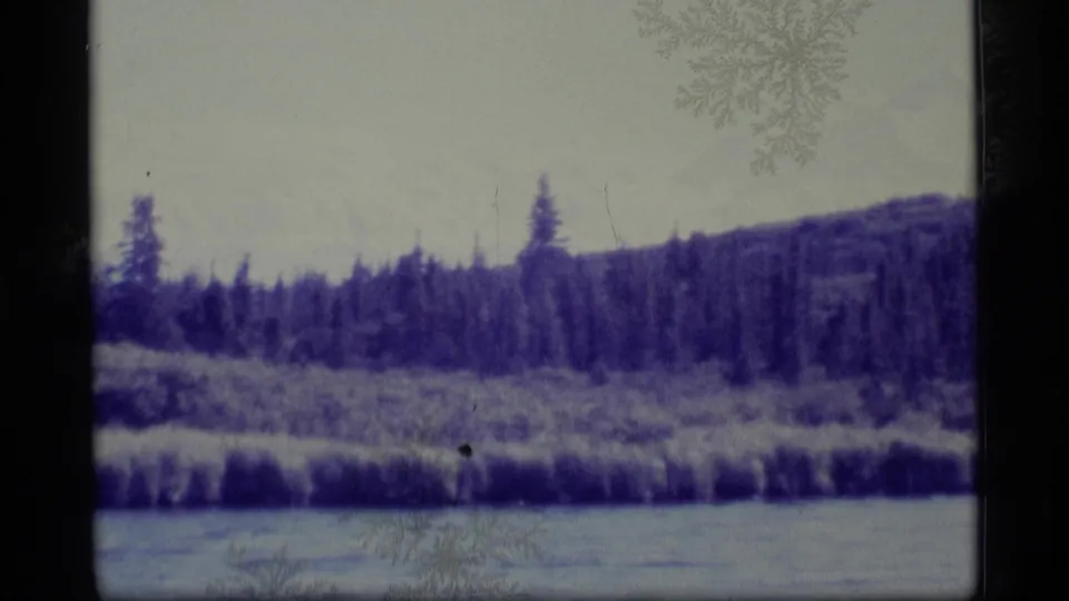 1977 Alaska home-movie frame showing the lakeshore passing through the pan, with shrubs, conifers, hillside, grain, and a dark film border.