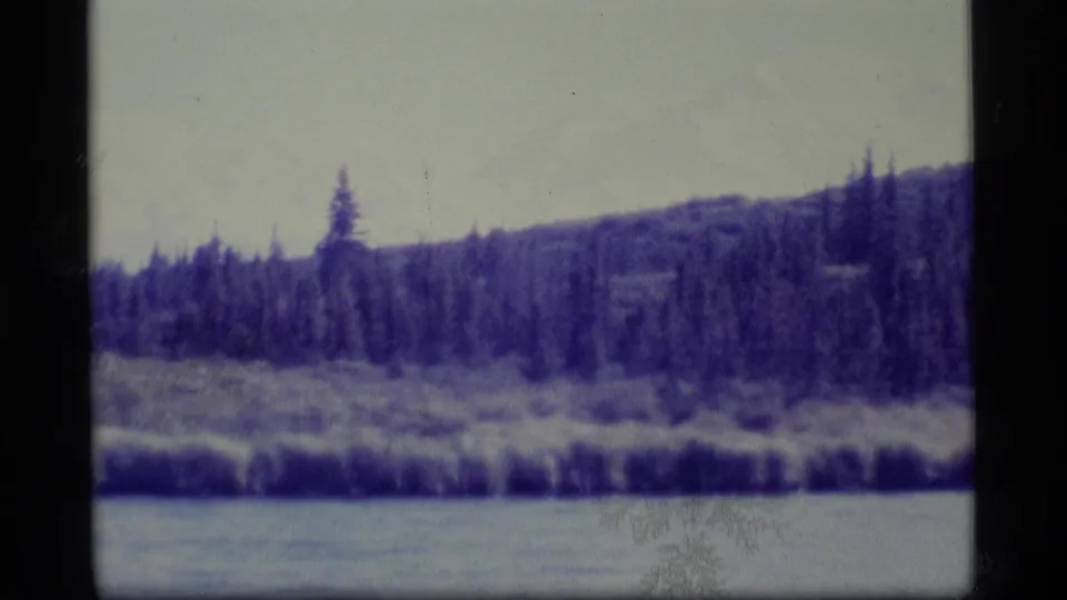 1977 Alaska 8mm frame showing calm water, a band of shoreline vegetation, dense evergreens, a low hill, and surface wear from the film.