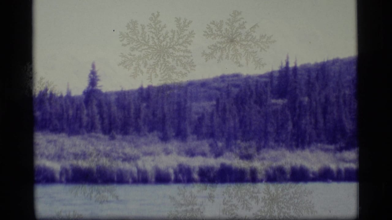 1977 Alaska 8mm frame showing a dark evergreen ridge across water, with pale sky and visible film dust marks.