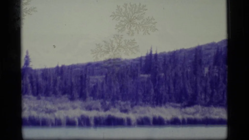 1977 Alaska landscape frame with forested hillside, shoreline, water, pale sky, and aged 8mm dust patterns.