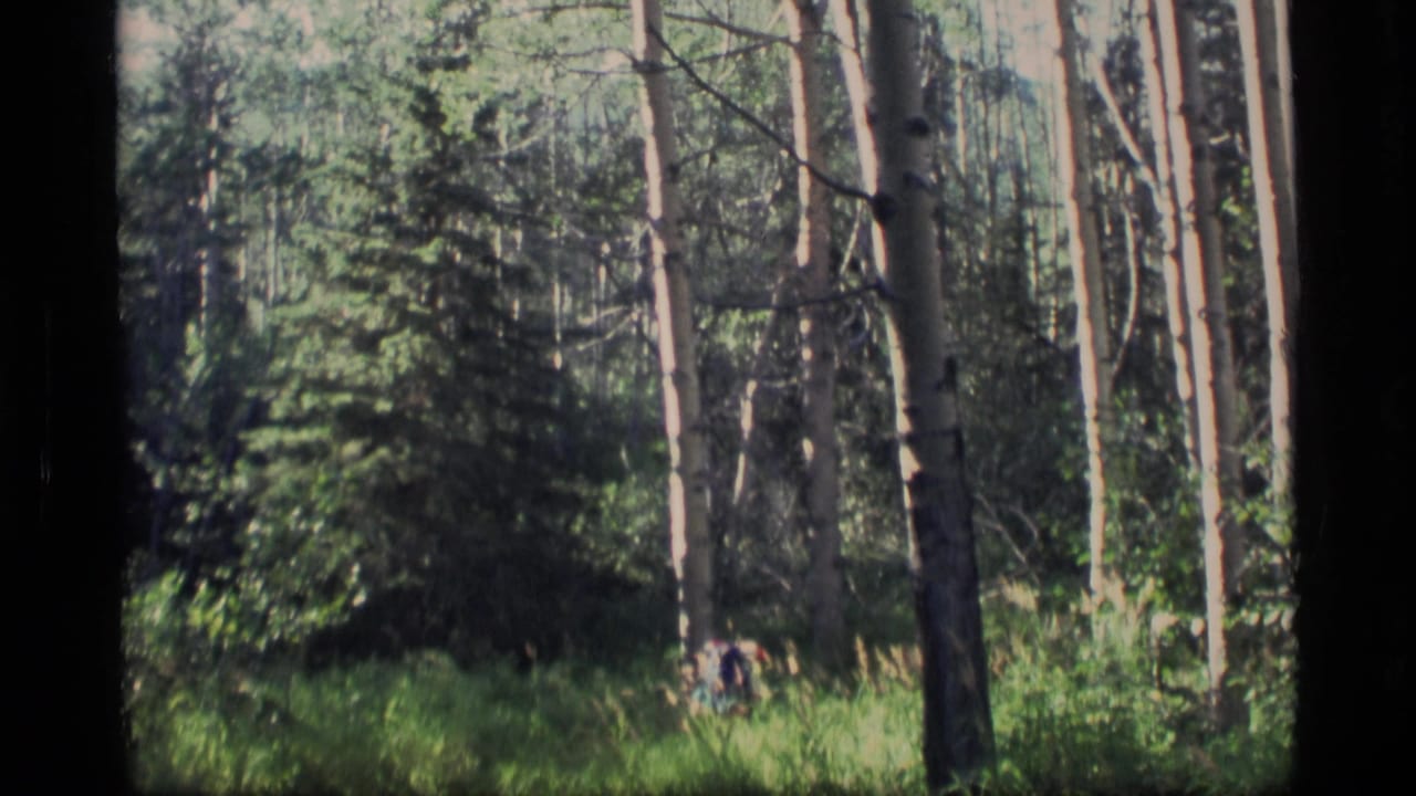Distant backpacker partly visible among tall aspen and evergreen trees.