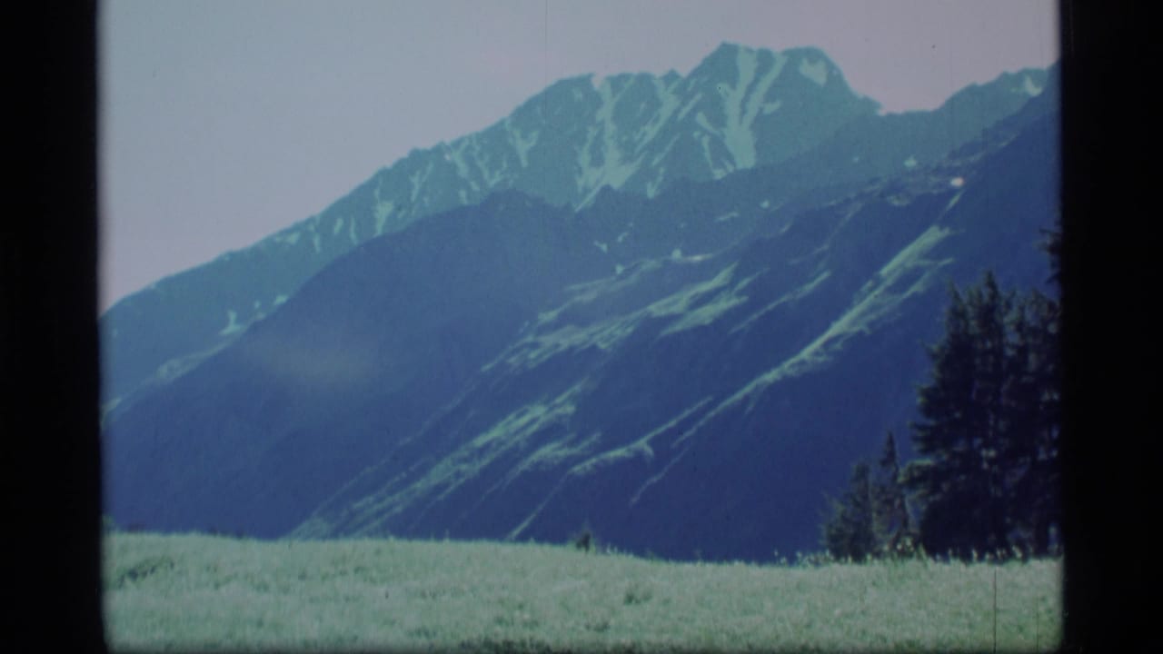 1977 Alaska 8mm frame showing snow-streaked mountains beyond a green meadow and dark evergreen trees.