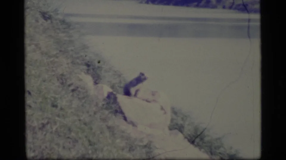 1977 Alaska 8mm frame showing a small dark animal near a pale rock on a grassy riverbank.