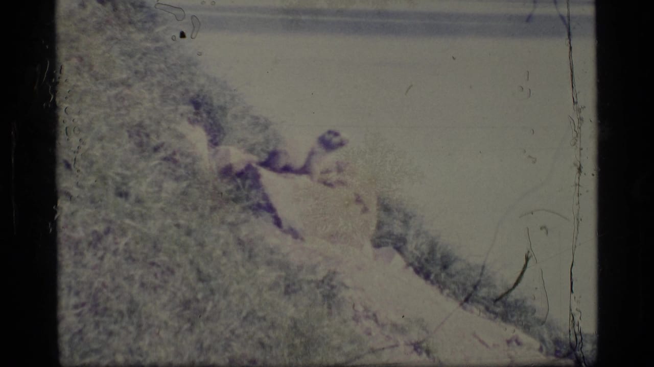 1977 Alaska 8mm frame showing a grassy hillside sloping toward pale water, with faded color and scratches.