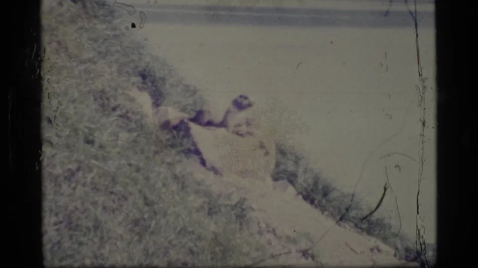 1977 Alaska 8mm frame showing a grassy hillside sloping toward pale water, with faded color and scratches.
