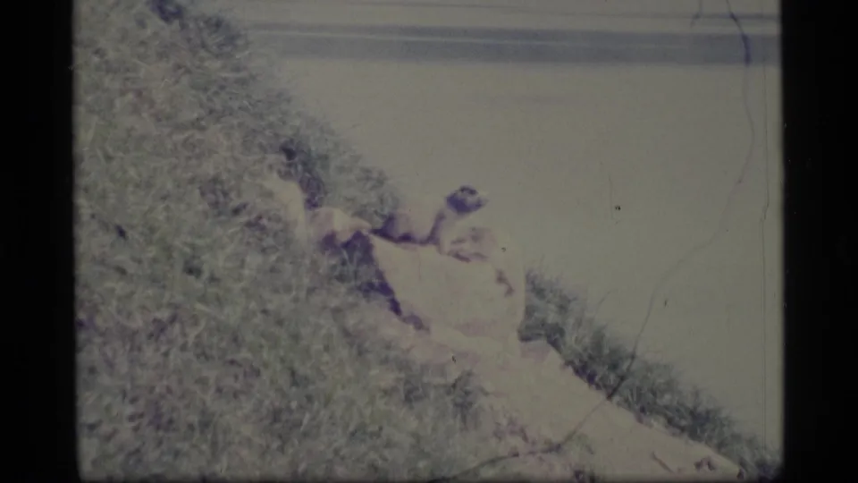 1977 Alaska 8mm frame of a hillside near water, with heavy fade, grain, and visible film wear.
