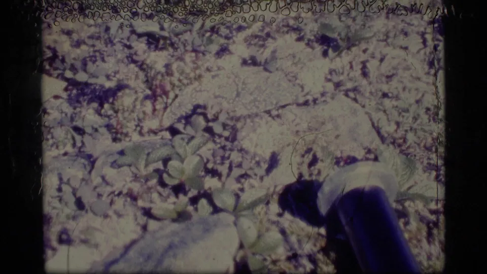 1977 Alaska 8mm frame showing rocky soil, small green plants, and a dark pipe or tube in the lower right.