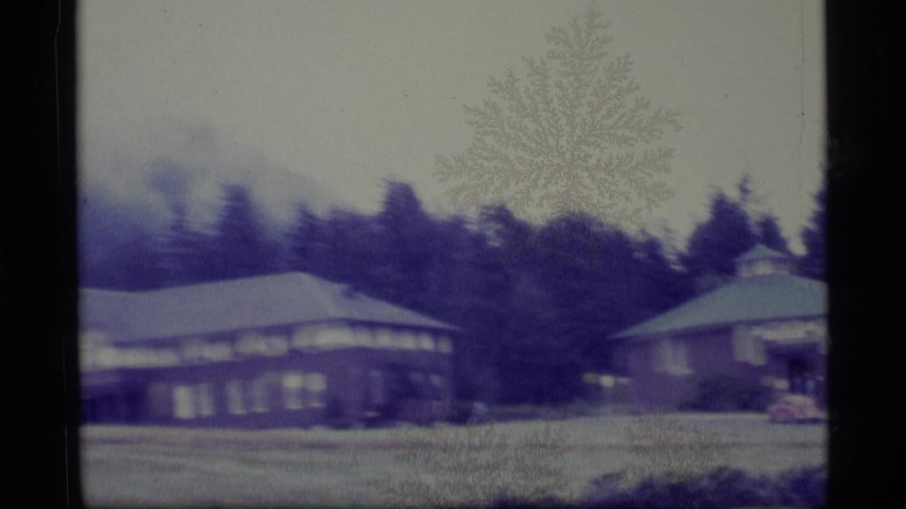 1977 Alaska 8mm frame showing a low residence, lawn, evergreen trees, and forested hill under a pale sky.
