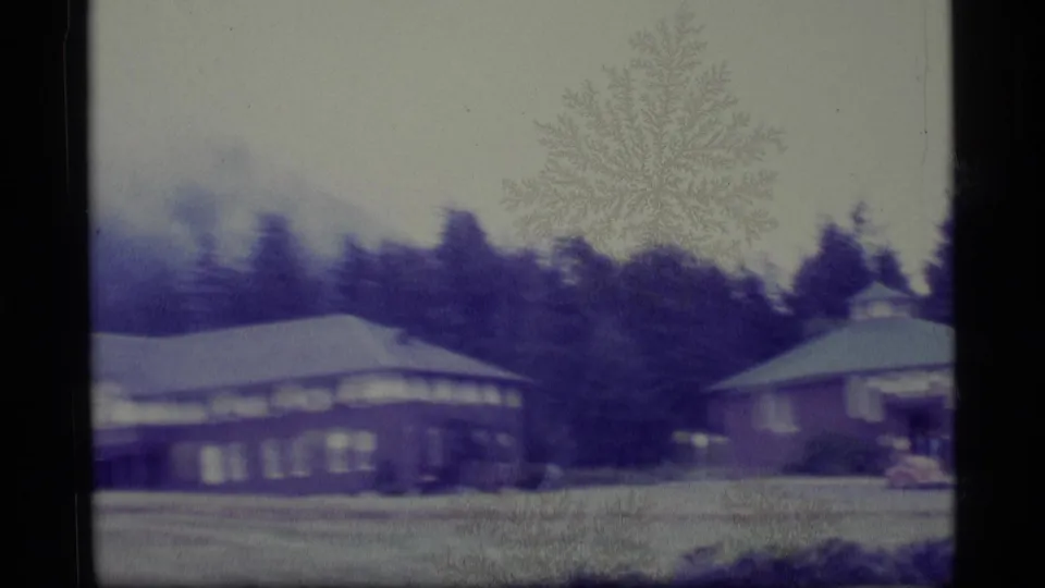 1977 Alaska 8mm frame showing a low residence, lawn, evergreen trees, and forested hill under a pale sky.