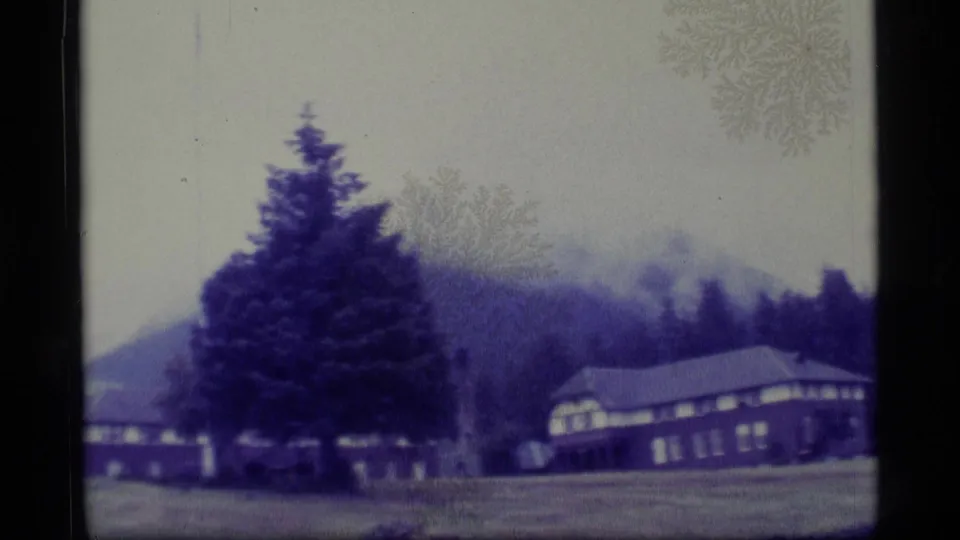 1977 Alaska home-movie frame with a tall evergreen in the foreground, low buildings, lawn, and wooded hillside.