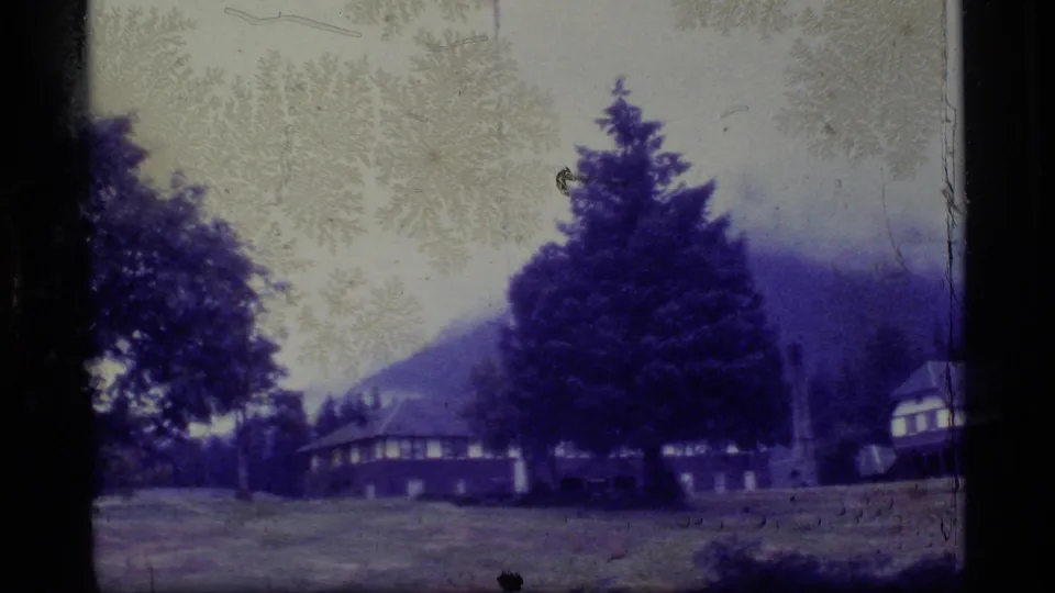 1977 Alaska frame showing a tree-lined residential exterior, prominent evergreen, low building, and misty wooded hill.