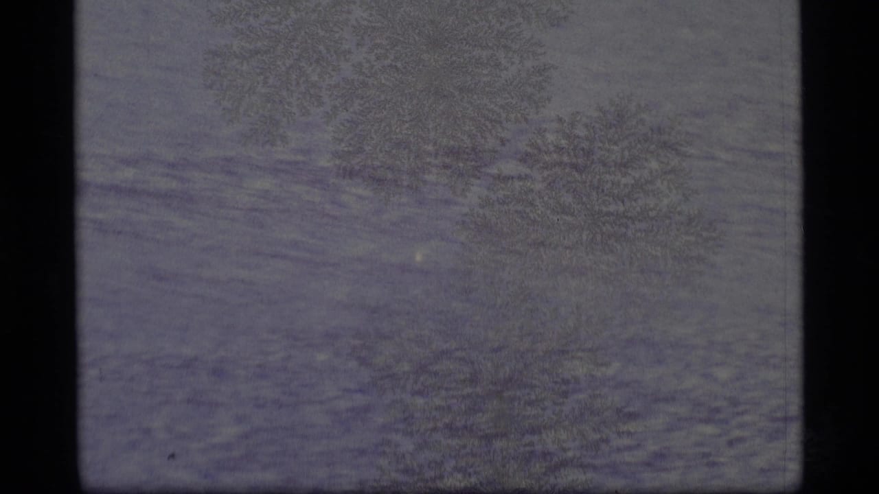 1977 Alaska 8mm frame showing a muted gray-blue frozen surface with branching frost patterns and visible scan edges.