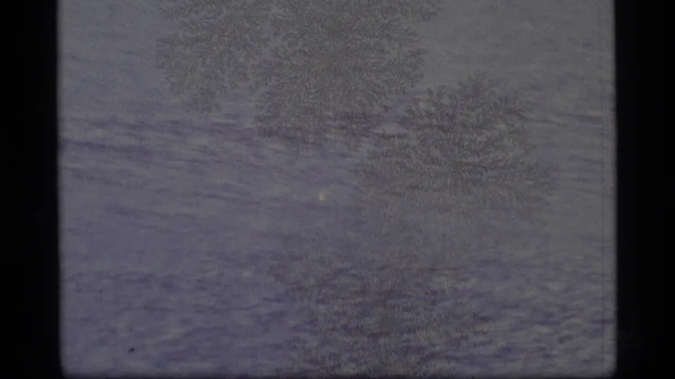 1977 Alaska 8mm frame showing a muted gray-blue frozen surface with branching frost patterns and visible scan edges.