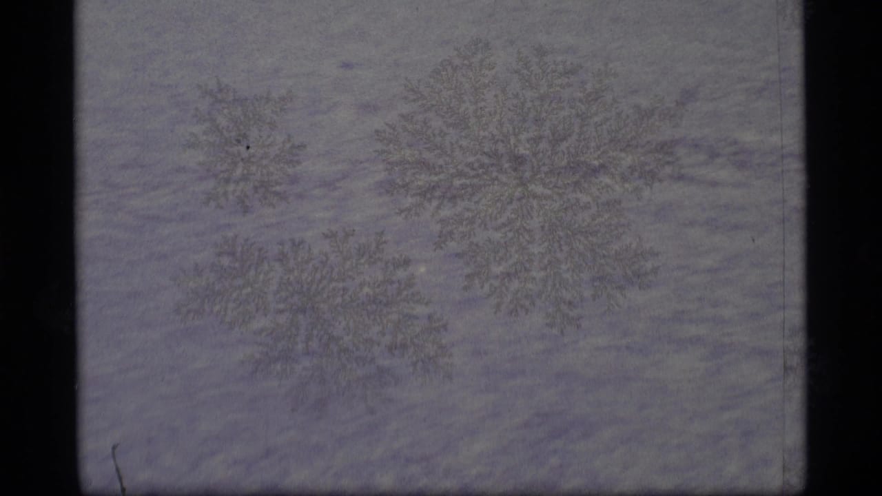 1977 Alaska 8mm frame with clustered frost or snowflake patterns across a muted frozen surface.
