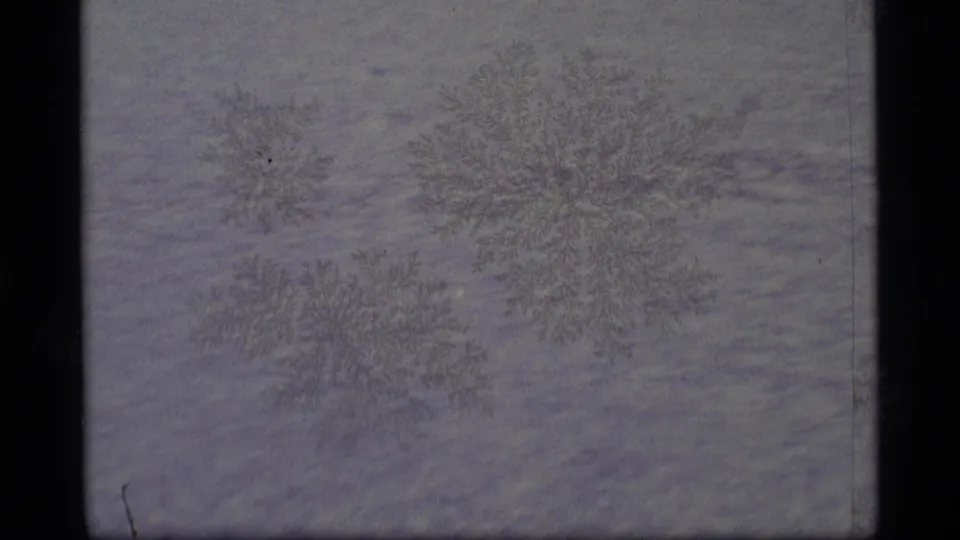 1977 Alaska 8mm frame with clustered frost or snowflake patterns across a muted frozen surface.