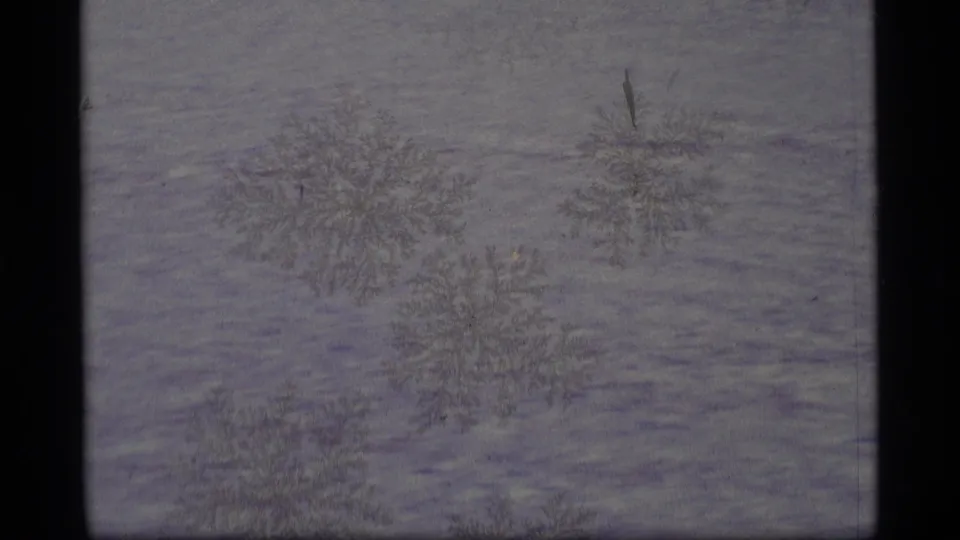 1977 Alaska 8mm frame showing a soft frost pattern on a gray frozen surface, with a small dark object or debris mark visible.