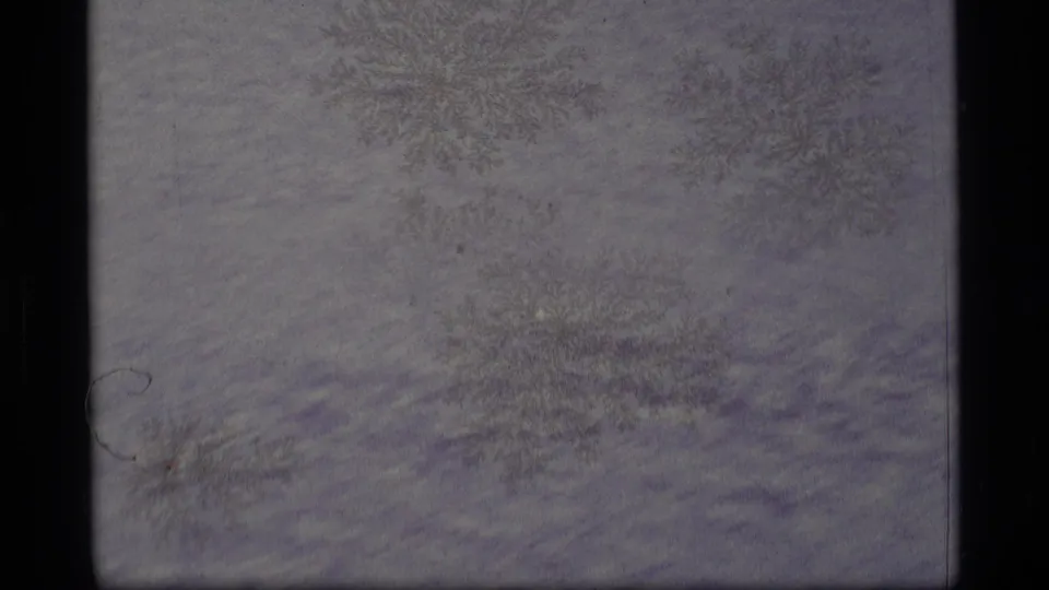 1977 Alaska 8mm frame of a subdued frozen surface with faint frost shapes, specks, and scan-border darkness.