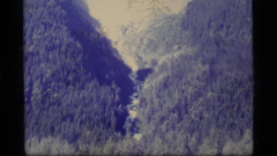 1977 Alaska home-movie frame showing the Taiya River through a forested mountain valley with soft focus and blue color shift.