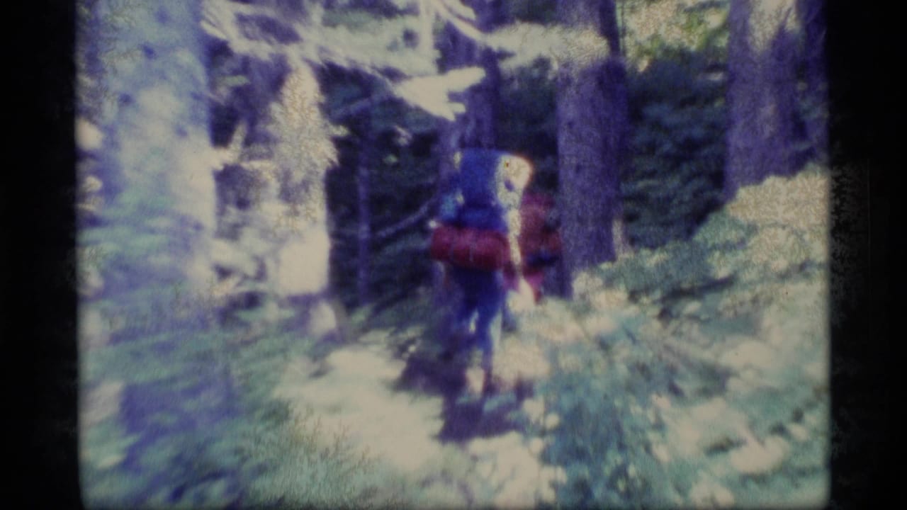 Backpacker with a red pack walking on a narrow forest trail among tall trees.