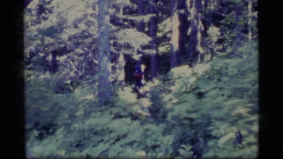 1977 Alaska home-movie frame showing a distant backpacker with a red pack on a shaded trail through dense forest vegetation.
