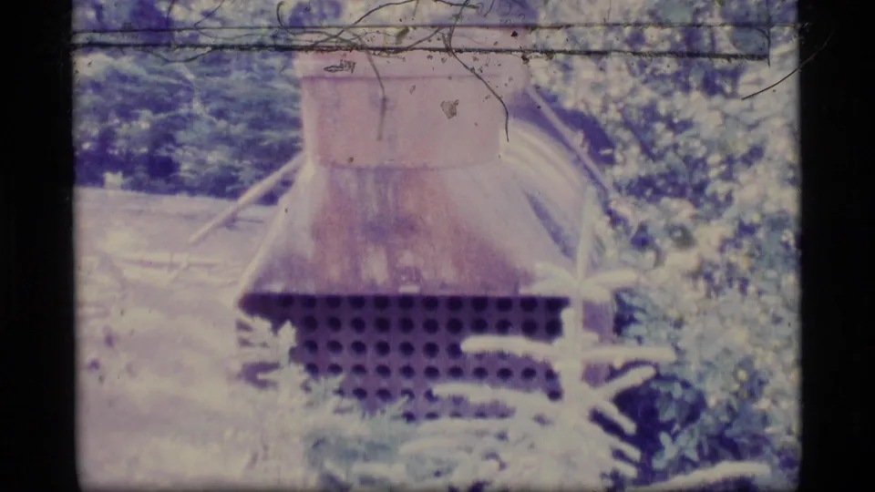1977 Alaska home-movie frame showing a weathered rust-colored metal structure partly surrounded by vegetation in a forest setting.