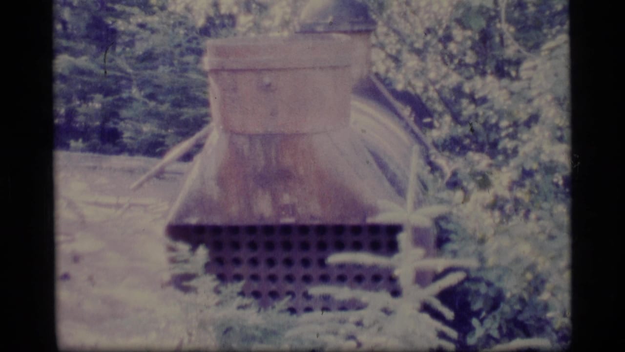 In 1977 Alaska home-movie footage, a wooden or boxlike structure sits near dense greenery in a soft, faded 8mm frame.