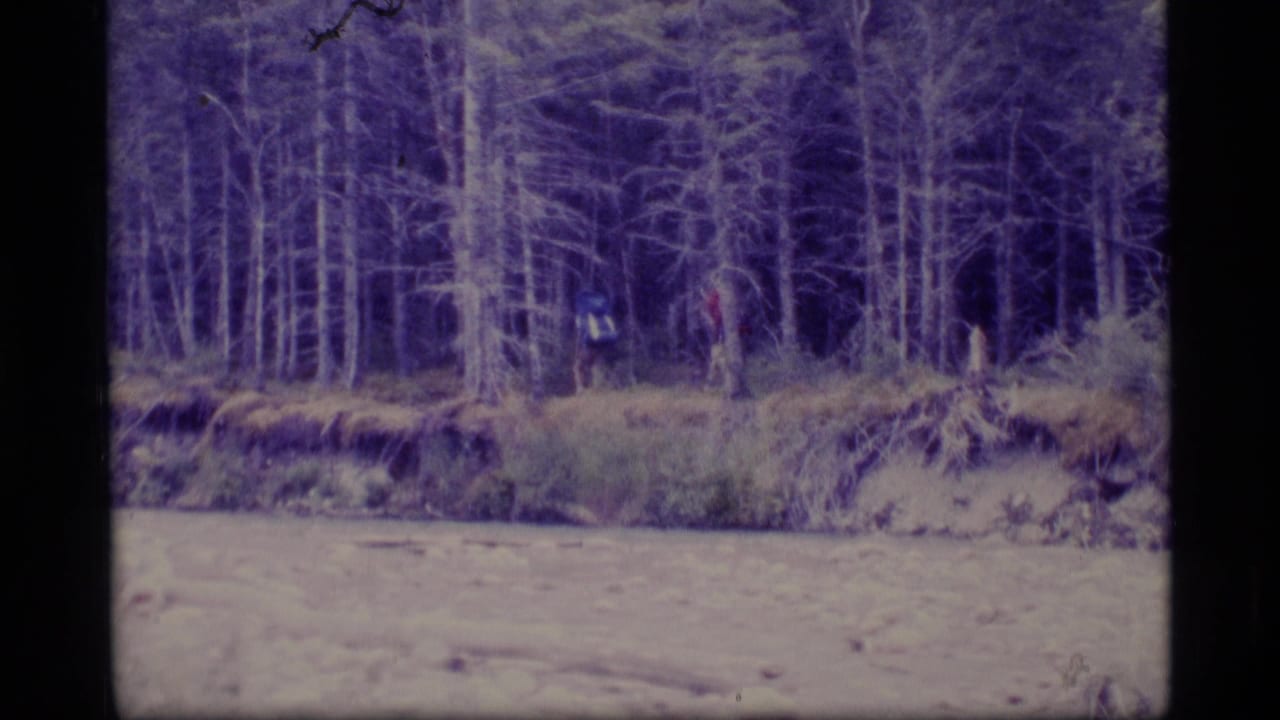 Two distant hikers with backpacks stand near a forest edge above a pale streambed.