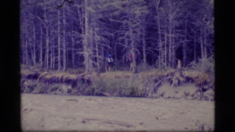 1977 Alaska 8mm frame with distant backpacked hikers at the edge of a dense evergreen forest beside a pale river or stream.