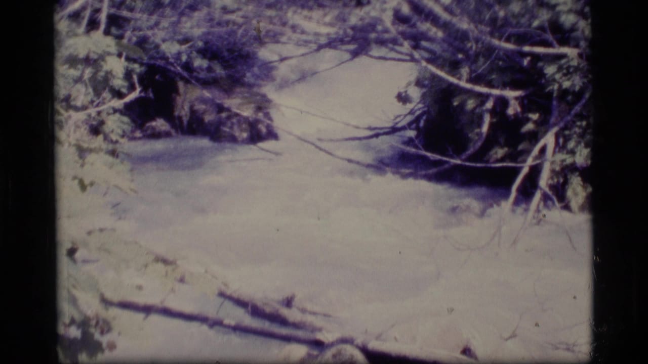 1977 Alaska 8mm frame showing snow-covered ground, branches, and dark tree edges with a blue-purple film cast.