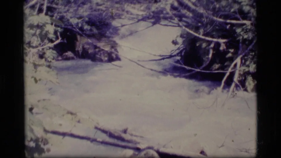 1977 Alaska 8mm frame showing snow-covered ground, branches, and dark tree edges with a blue-purple film cast.