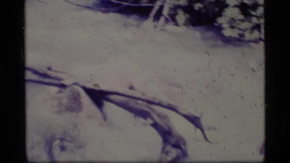 1977 Alaska 8mm frame with a dark branch crossing a pale snowfield, softened by aged film color and grain.