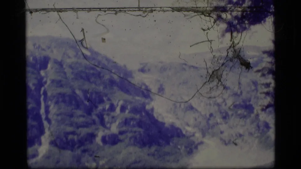 1977 Alaska 8mm frame showing distant snowy mountain ridges behind foreground branches and visible film scratches.
