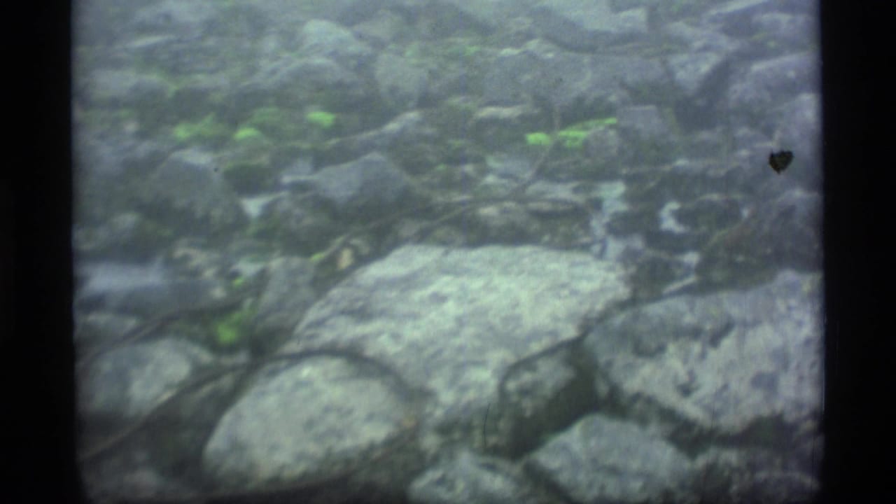 1977 Alaska 8mm frame showing moss-covered rocks and a shallow stream area with soft focus and dark film borders.