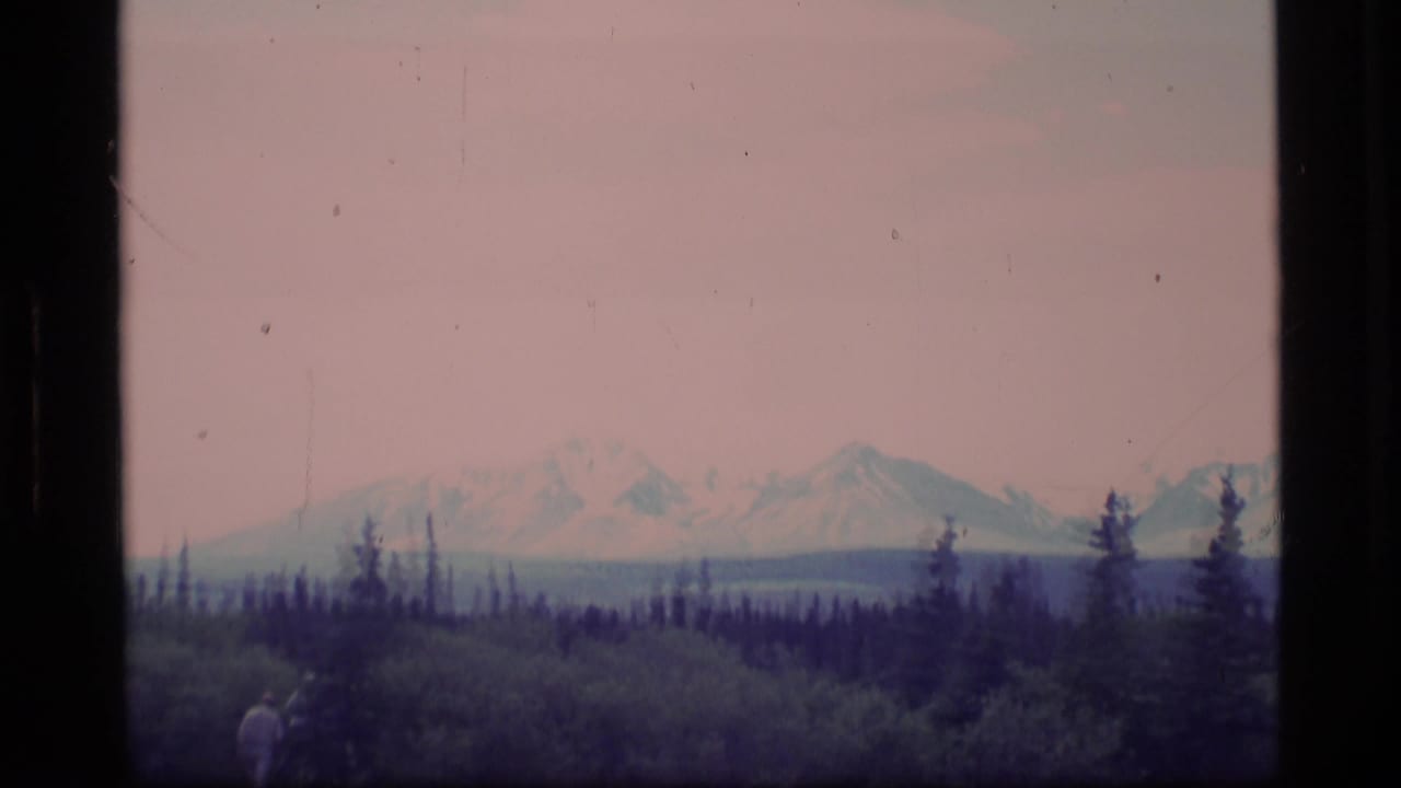 1977 Alaska 8mm frame showing snow-capped mountains behind evergreen forest, with a small distant person near the lower left edge.