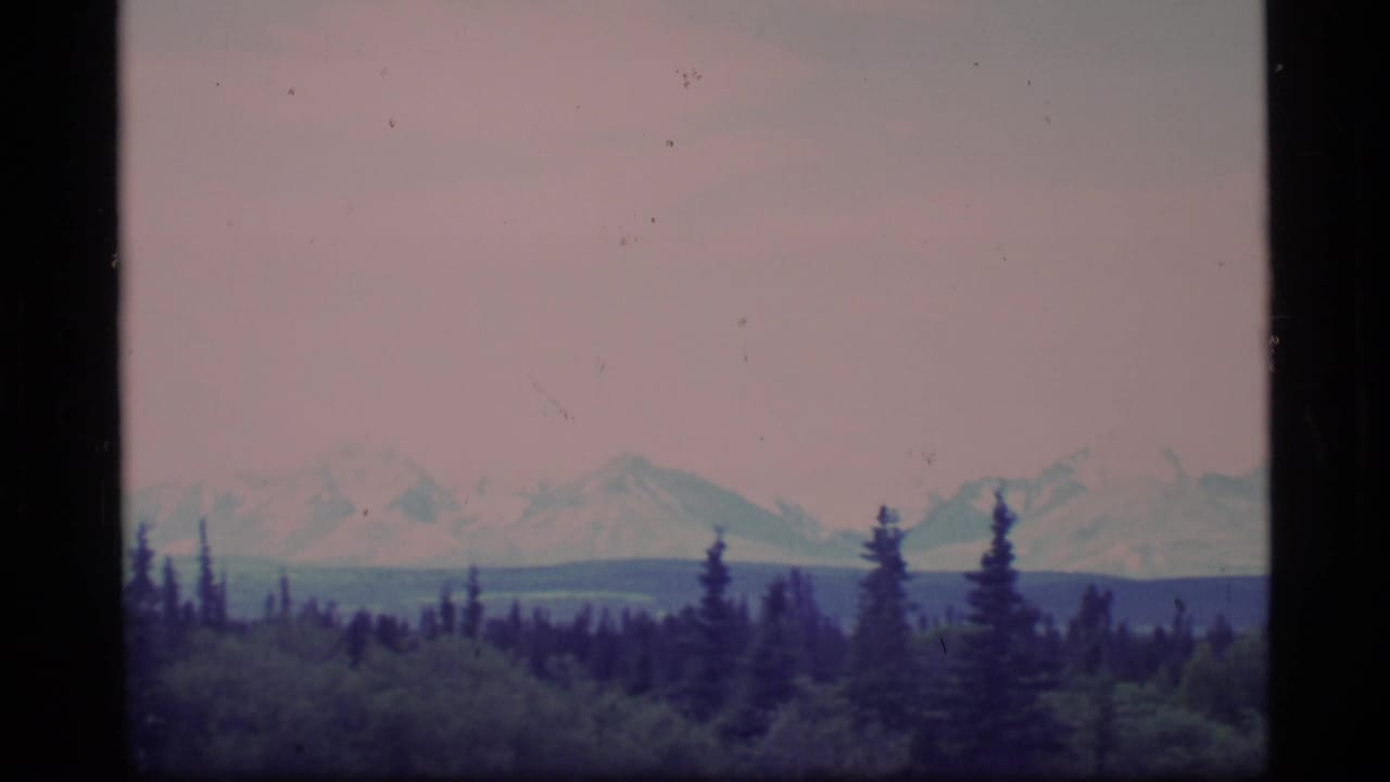 Snow-capped mountains and evergreen trees under a pale pink hazy sky.