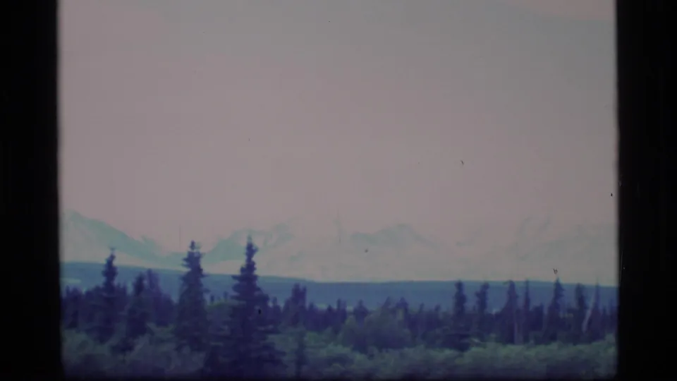 1977 Alaska 8mm frame of distant mountains and evergreen treetops, tinted by aged color film and light haze.
