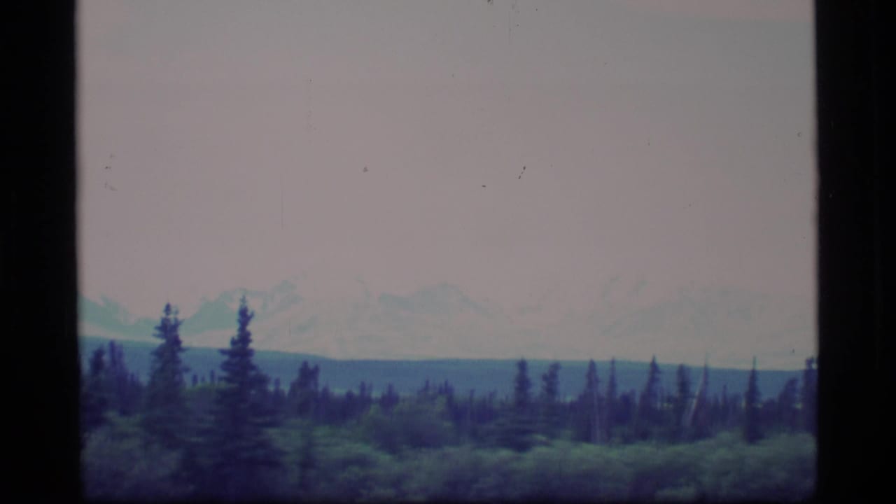 1977 Alaska 8mm frame showing evergreen forest with faint snow-covered mountains beyond a hazy horizon.