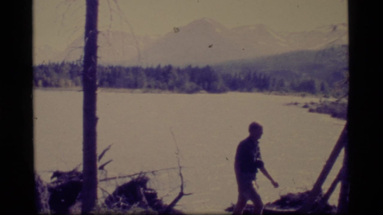 Distant person walking along a riverbank with trees, water, and mountains beyond.