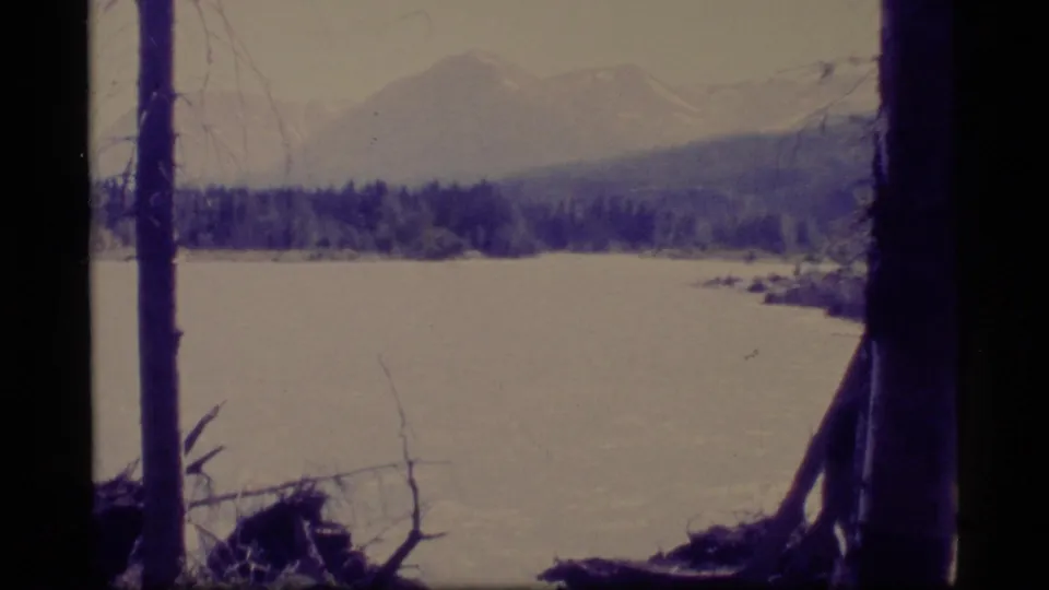 1977 Alaska 8mm frame of a still river or lake, forested shore, foreground tree trunks, and distant mountain ridges.