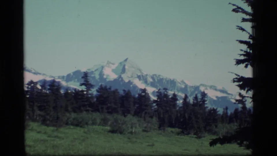 1977 Alaska home-movie frame with a snowy mountain peak beyond evergreen forest and meadow, edged by dark branches and film borders.