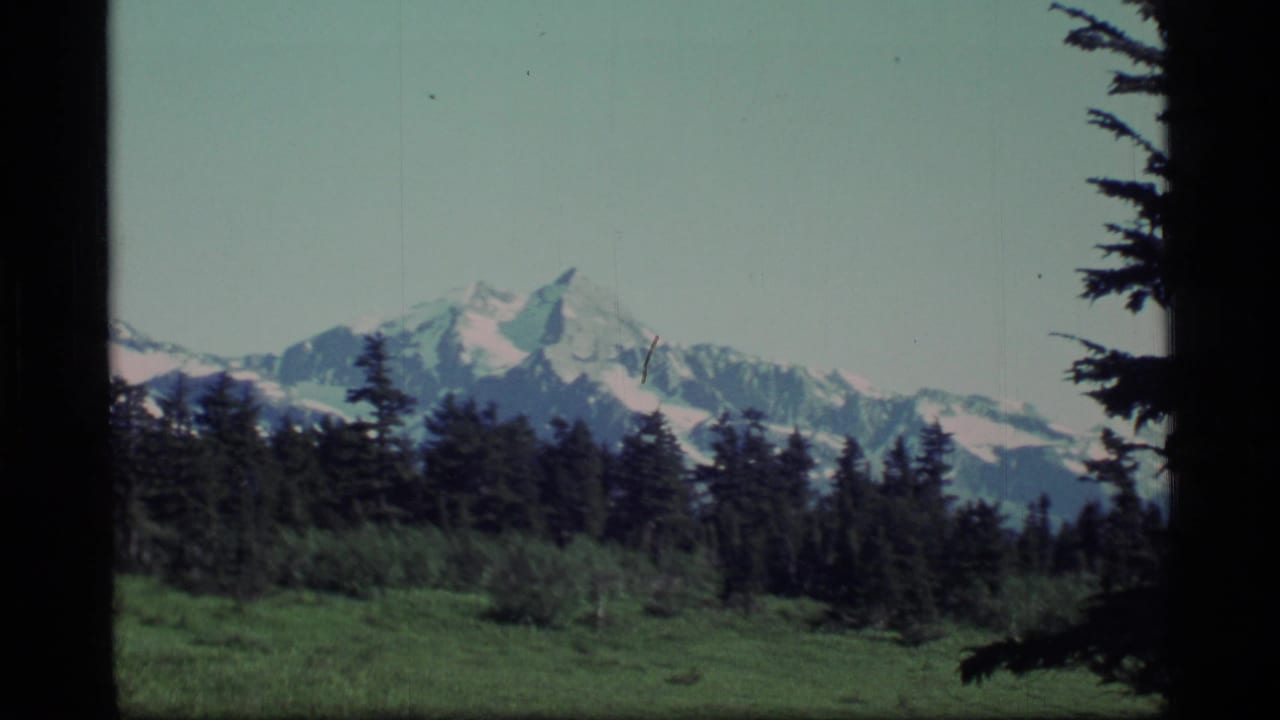 1977 Alaska 8mm frame showing snow-capped mountains behind a dark evergreen forest and green meadow foreground.