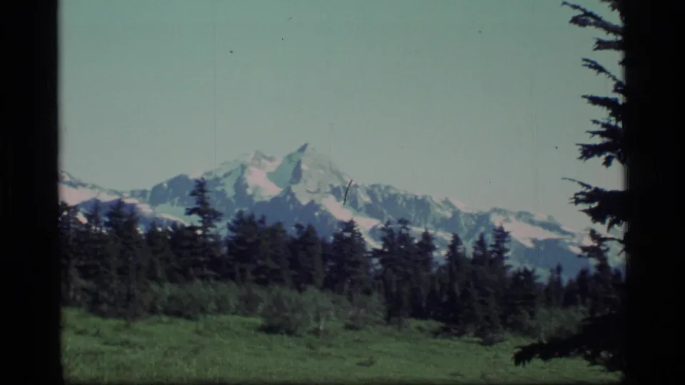 1977 Alaska 8mm frame showing snow-capped mountains behind a dark evergreen forest and green meadow foreground.
