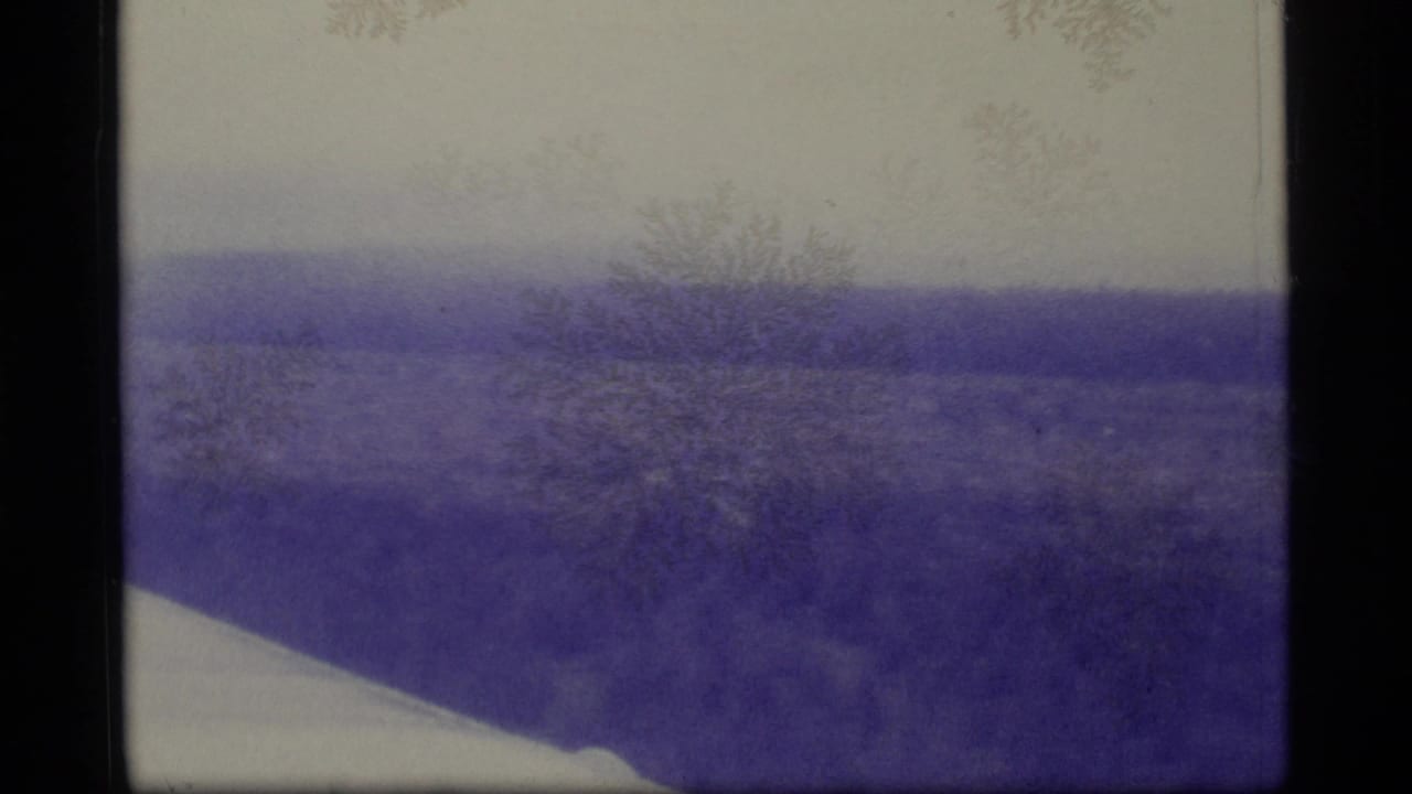 1977 Alaska 8mm home-movie frame showing a broad, hazy landscape with sparse trees, pale sky, and dark film borders.