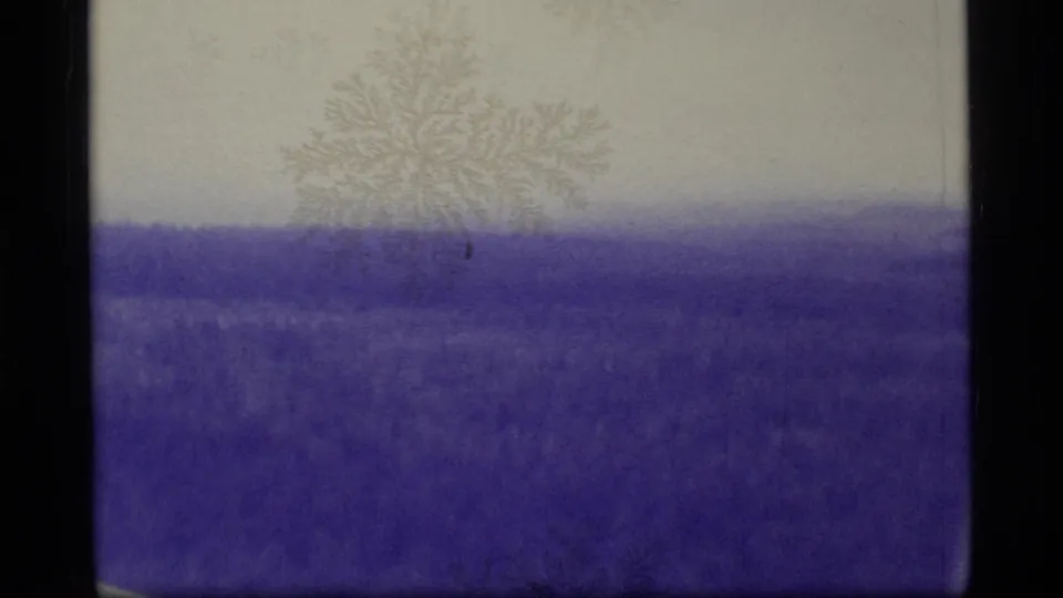 1977 Alaska 8mm frame showing flat snowy or frosty terrain, a distant tree line, bare branches, and mottled film texture.