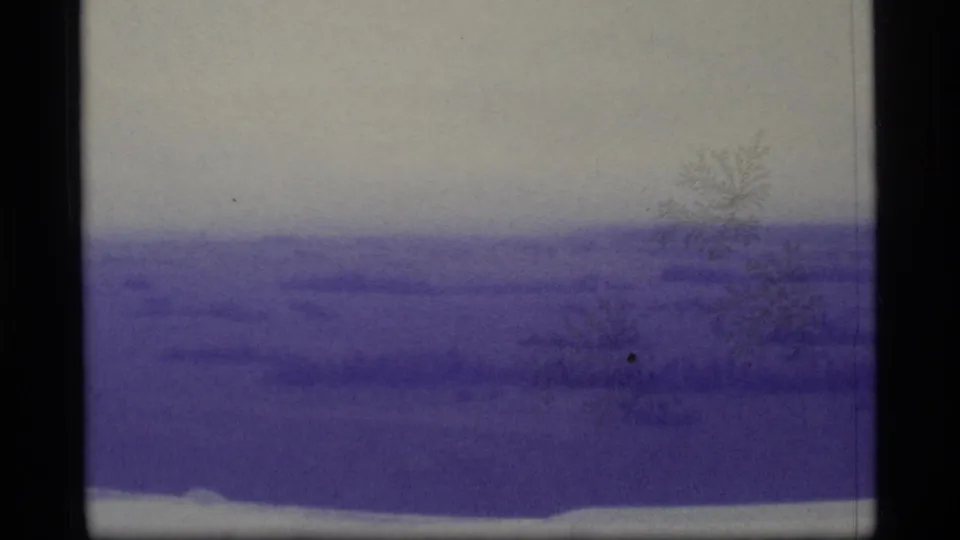 1977 Alaska home-movie frame of an open remote landscape, with sparse trees near the horizon and heavy purple color shift from aged film.